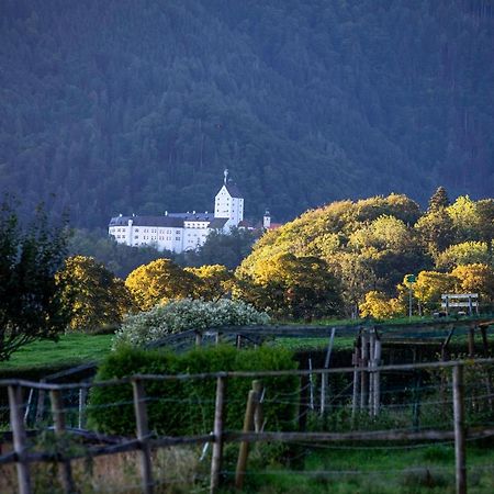 Ferienwohnungen Erlebnisnaturhof Ашау им Кимгау Екстериор снимка