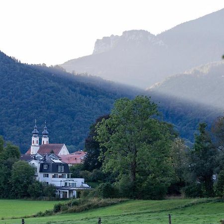 Ferienwohnungen Erlebnisnaturhof Ашау им Кимгау Екстериор снимка