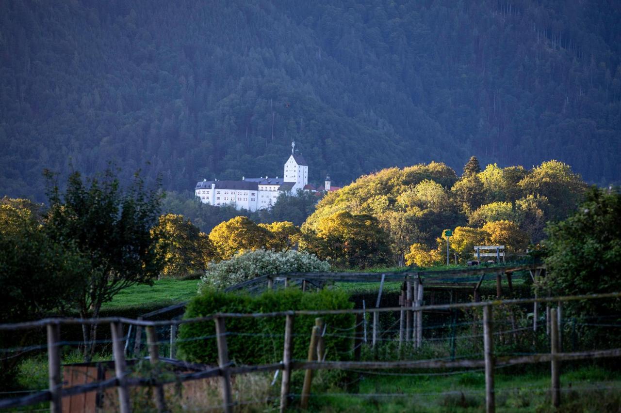 Ferienwohnungen Erlebnisnaturhof Ашау им Кимгау Екстериор снимка